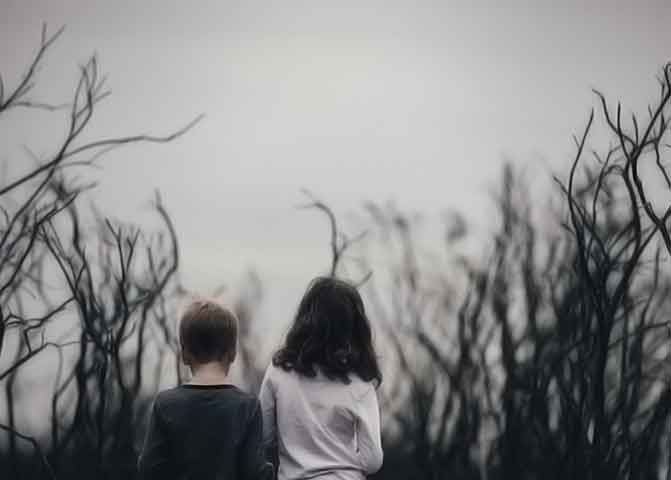 哪里买器测压文章